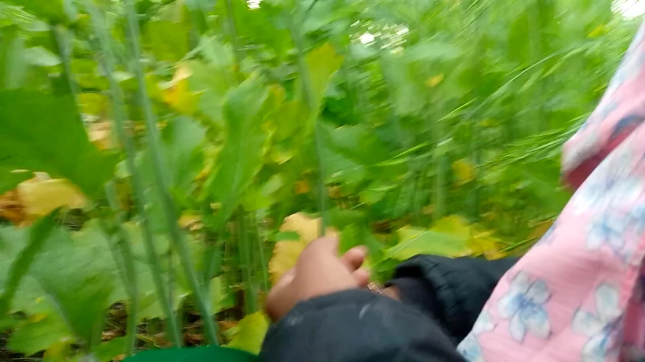 Indecent content discovered in the field: Mother-in-law’s video, allegedly by xxx videos.